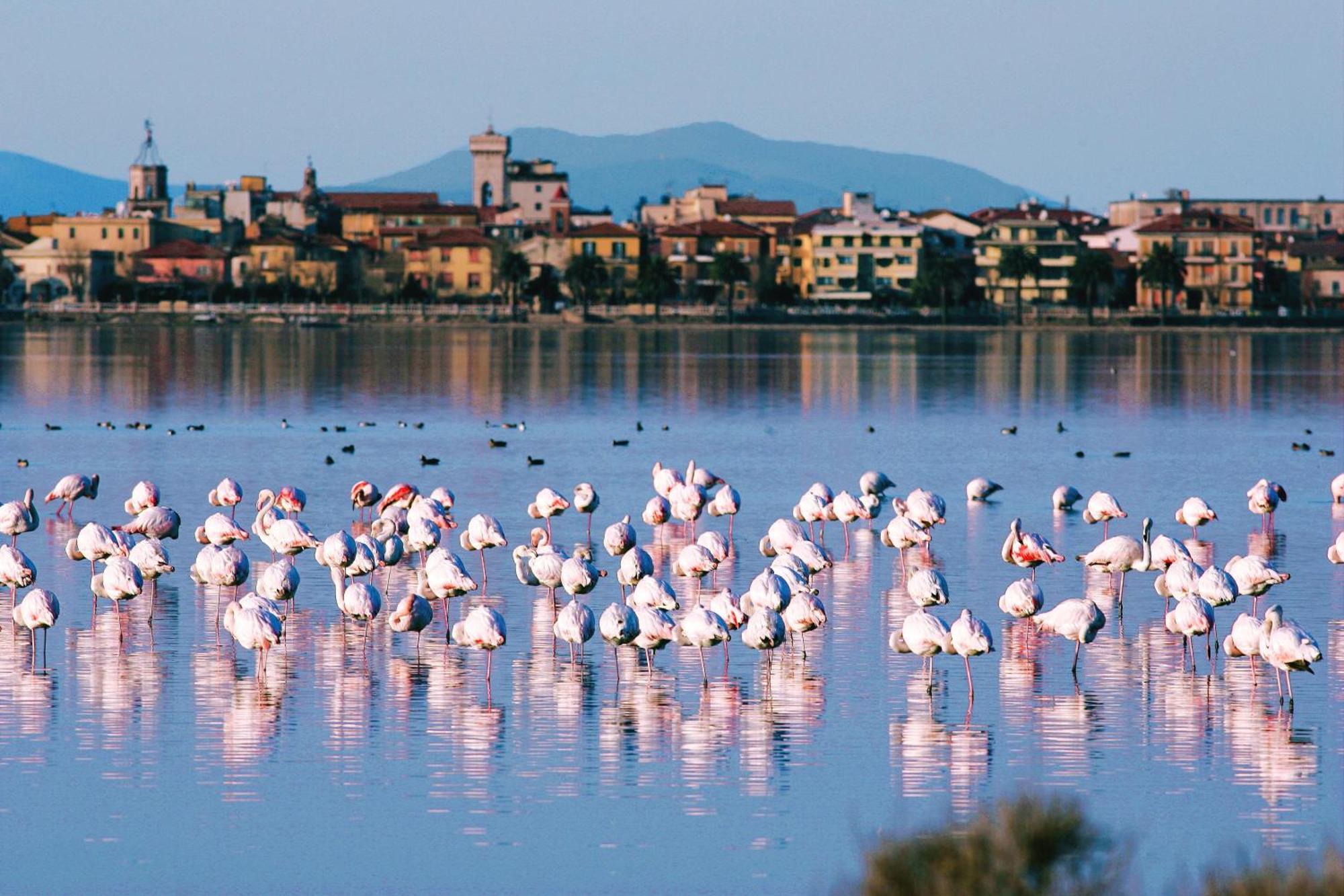 Park Hotel Residence Orbetello Extérieur photo